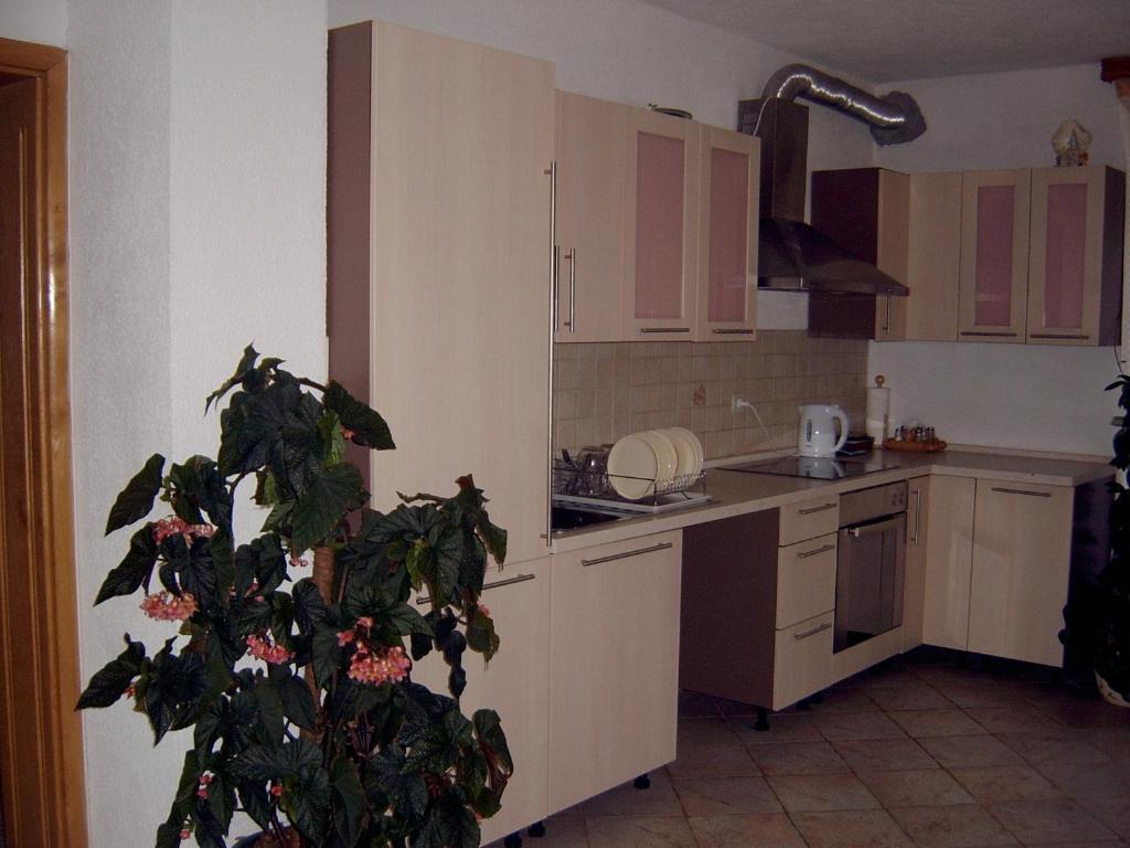 House Ana 3*