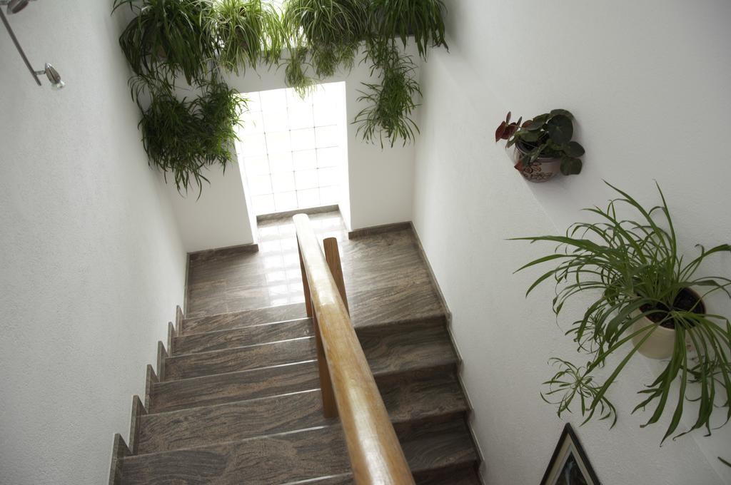 House Ana Nočitev z zajtrkom 3*
